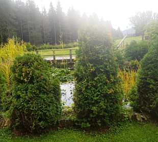 Bepflanzung Garten