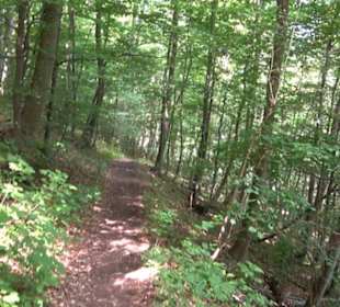 Premiumwanderweg "hochgelegen"
