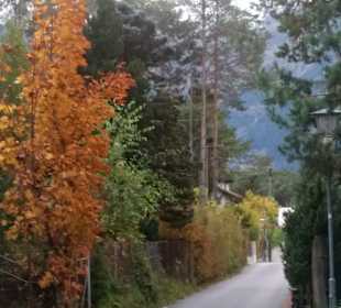Wandern Mieming