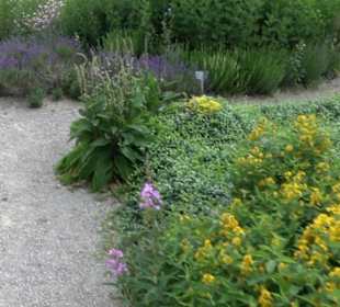 ALB-GOLD Naturgarten