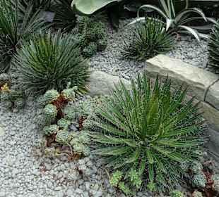 Villengärten Überlingen