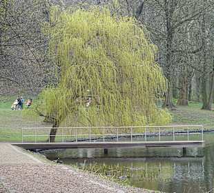 Bereich am See