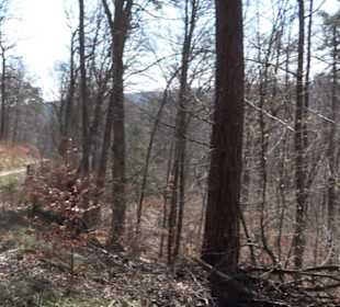 Geologischer Lehrpfad Kirnbachtal