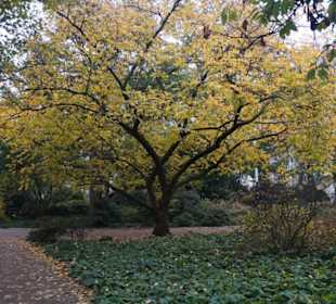 Parkanlage Planten un Blomen