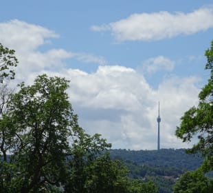 Fernsehturm vom Rosensteinpark aus