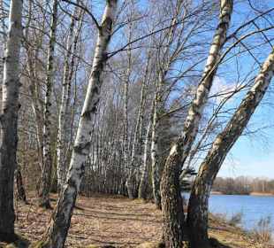 Seeimpressionen