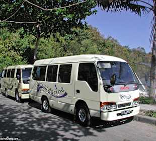 Customised mini buses for extra comfort