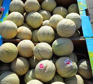 Impressionen vom Wochenmarkt Saint-Cyprien-Plage