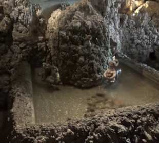 Asserspiele - Grotte - Vogelsang