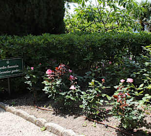 Villa Ephrussi de Rothschild 05.2013