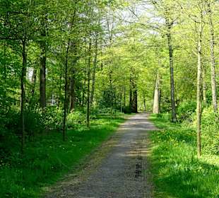 Spaziergang durch den Park