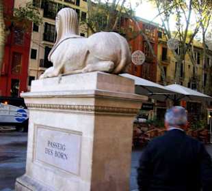 Hier beginnt die Strasse