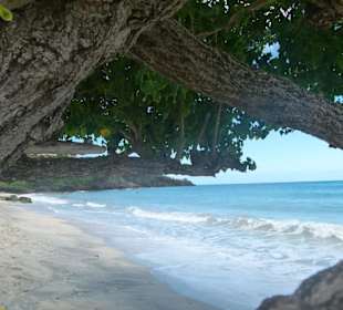 Grand Anse Beach