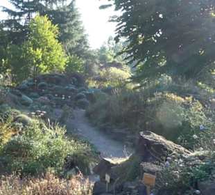 Botanischer Garten