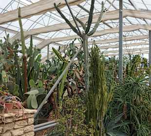 Umgebung + Botanischer Garten Baltschik + Schloss