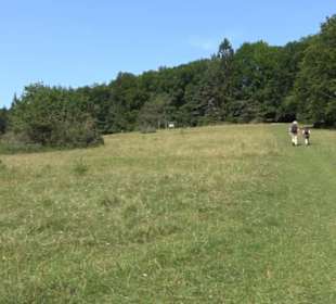 Premiumwanderweg "hochgesprudelt"