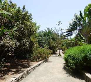 Schöner Garten