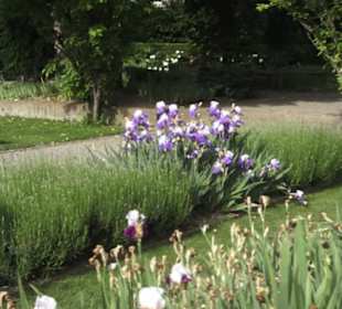 Belvoirpark