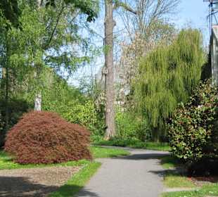 Botanischer Garten