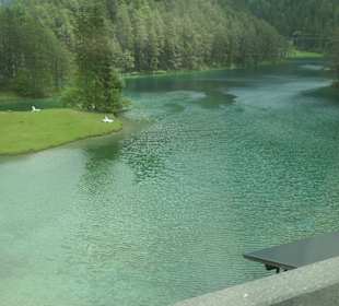 Blick zum Fernsteinsee