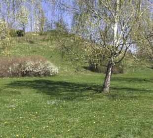 Sport- und Freizeitpark Markwasen
