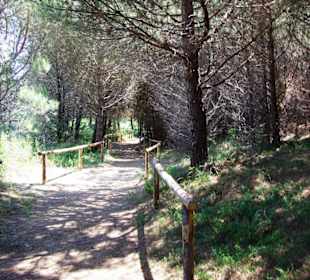 FKK-Wege hinten