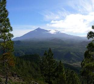 Blick zum Teide beim Aufstieg zum Cruz de Gala