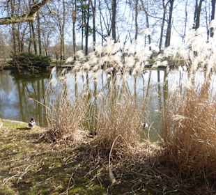 Unterwegs im Park der Wehranlagen Schweinfurt