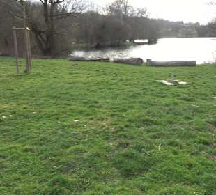 Beutwangsee Neckarhausen