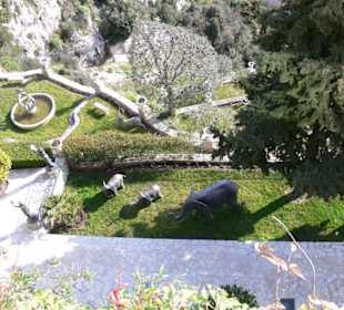 Blick in den Hotelgarten