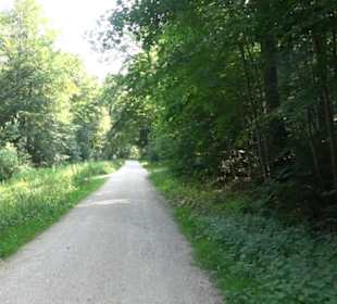 Waldlehrpfad St. Johann