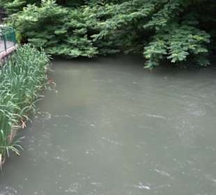 Tierpark Hellabrunn - Eingang