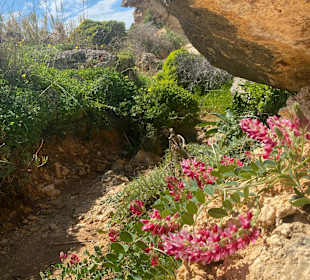 Wandern Ghajn Tuffieha