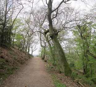Osteinscher Landschaftspark