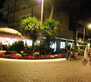 Kreisverkehr Bepflanzungen