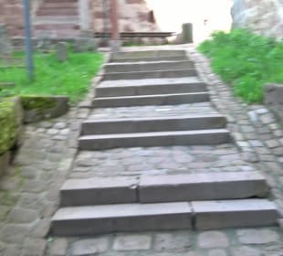 Altes Schloss Altensteig