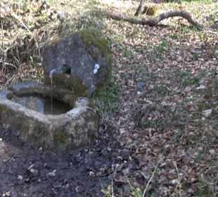 Geschichtlicher Lehrpfad Einsiedel