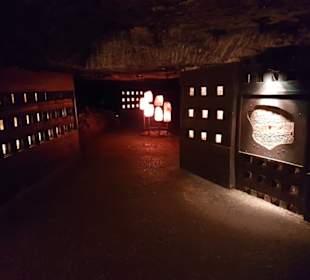 Salzwelten Hallstatt 