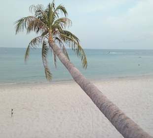 Südlich Chaweng (The Beach Samui)