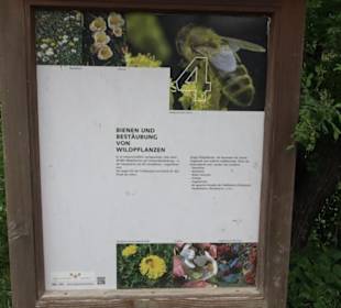 Naturinfopfad im Gewann Altstadt