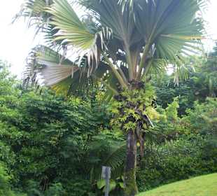 Ausflug mit Mario von Edelweiss Tours