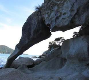 Einsame Bucht im Abel Tasman