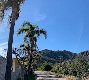 Inselrundfahrt Sardinien