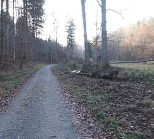 Schönbuch Schaichtal