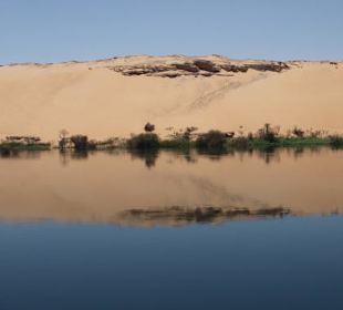 Ausblick vom Botansichen Garten