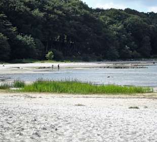 Impressionen vom Strandbad Solitüde