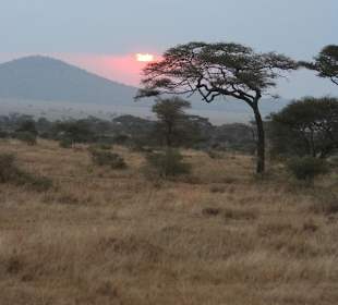 African Sundown