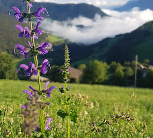 Wandern Hafling