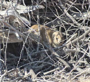 Auch im Unterholz gibt es was zu entdecken