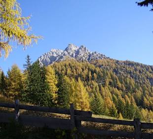 Schöner Blick